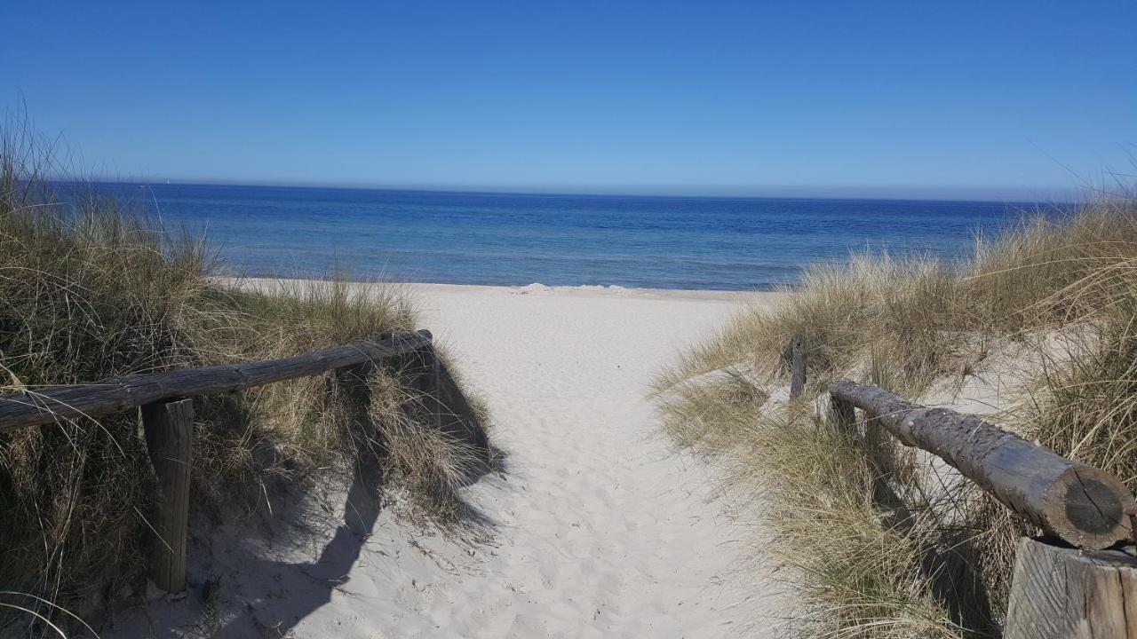 Apartamento Urlaub auf der Insel Rügen Bergen Auf Rugen Exterior foto
