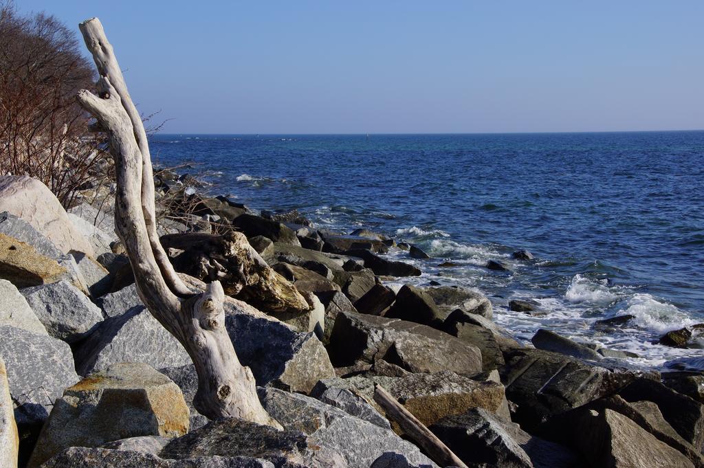 Apartamento Urlaub auf der Insel Rügen Bergen Auf Rugen Exterior foto